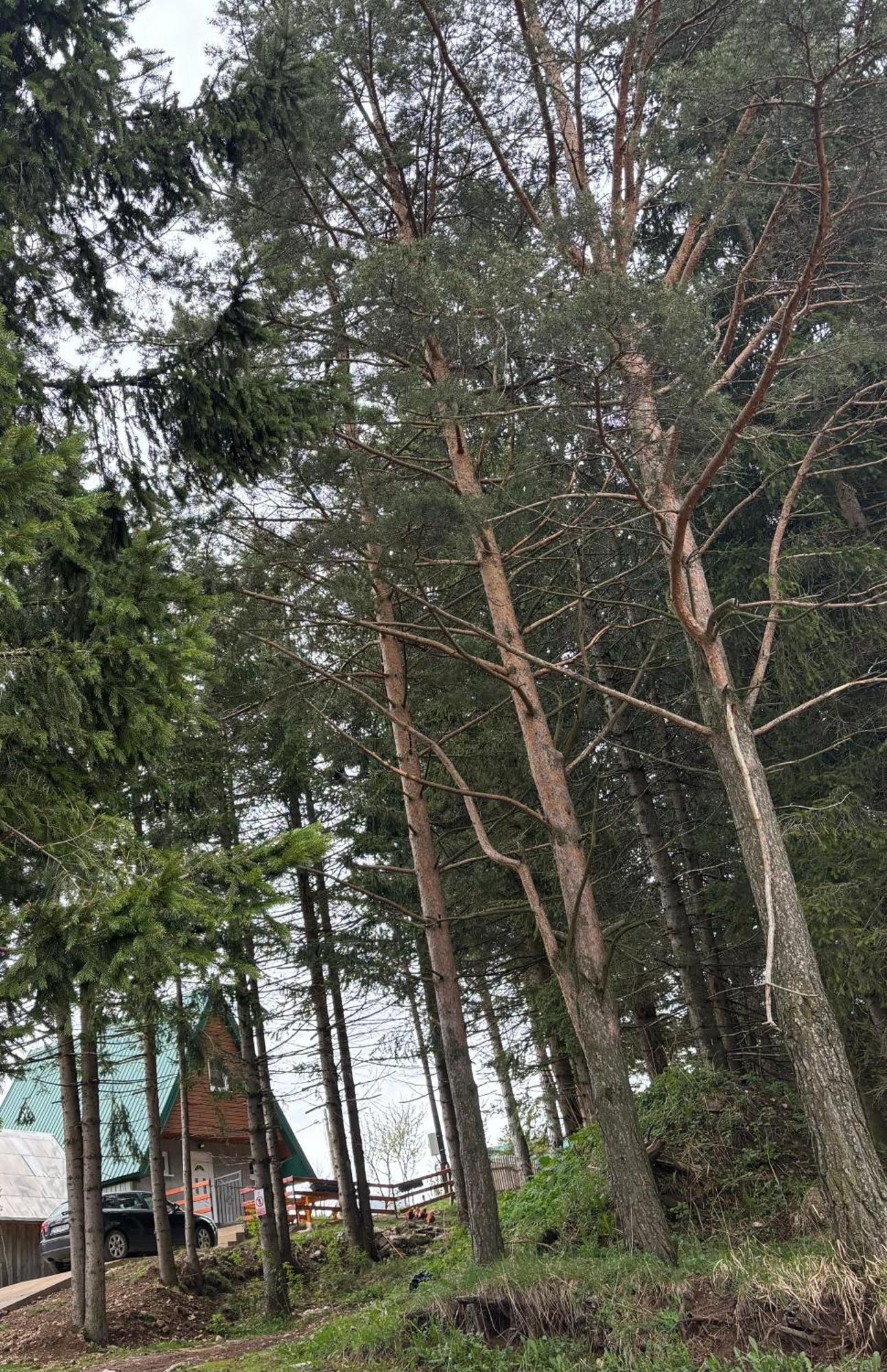Holiday Home ,,Lazar" Zabljak  Luaran gambar