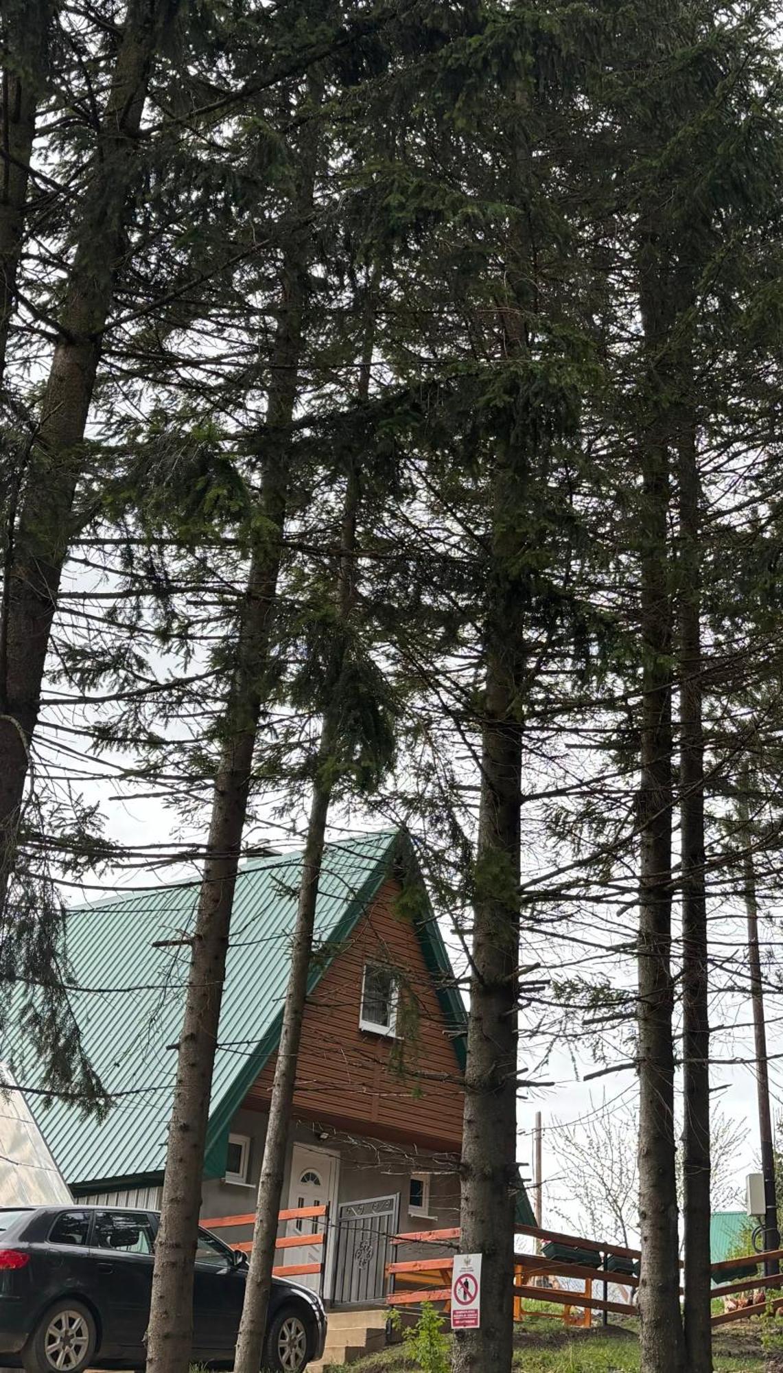 Holiday Home ,,Lazar" Zabljak  Luaran gambar